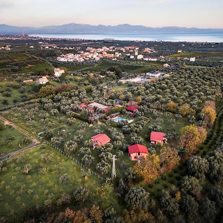 La Piana Degli Ulivi Bed and Breakfast Rossano Buitenkant foto