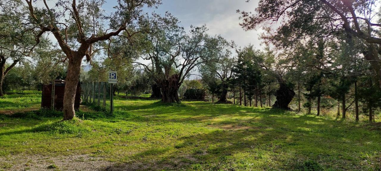 La Piana Degli Ulivi Bed and Breakfast Rossano Buitenkant foto