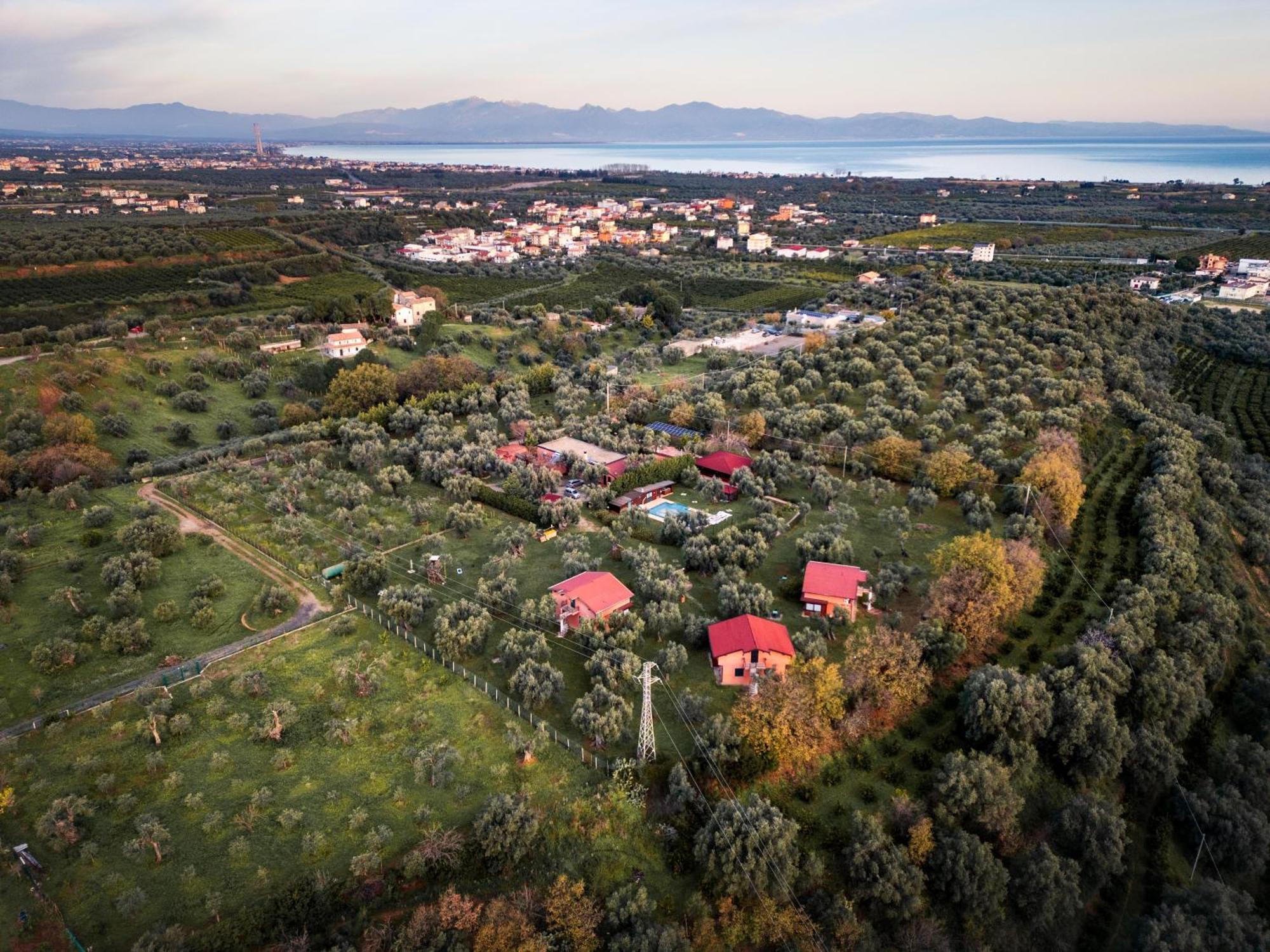 La Piana Degli Ulivi Bed and Breakfast Rossano Buitenkant foto