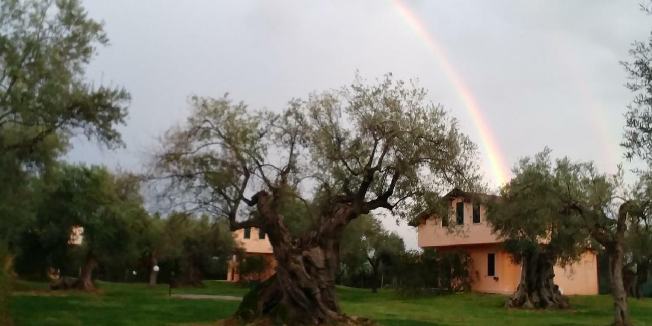 La Piana Degli Ulivi Bed and Breakfast Rossano Buitenkant foto